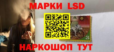 PSILOCYBIN Нальчик