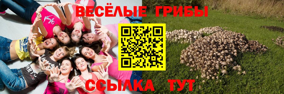 Псилоцибиновые грибы Cubensis Тобольск